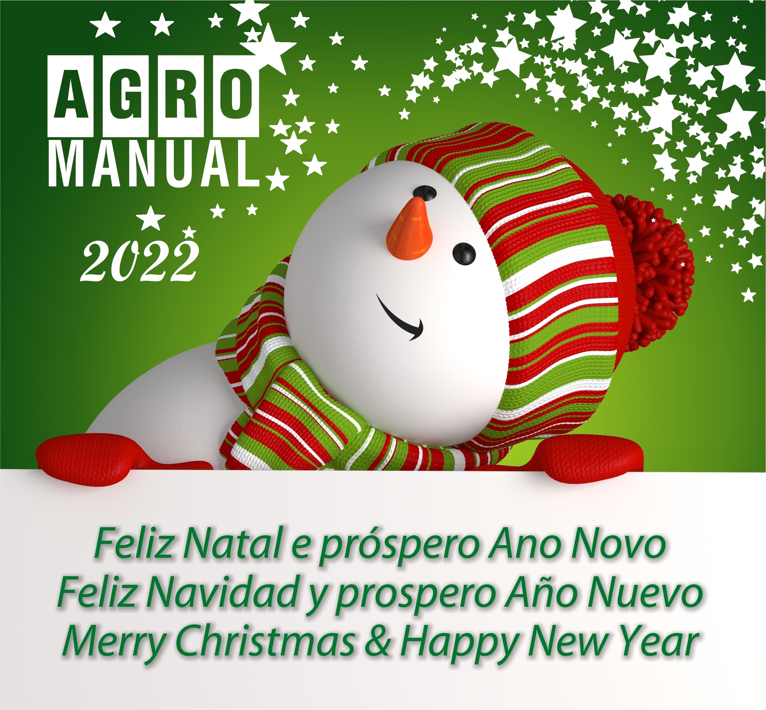 Boas Festas e Feliz Ano Novo!